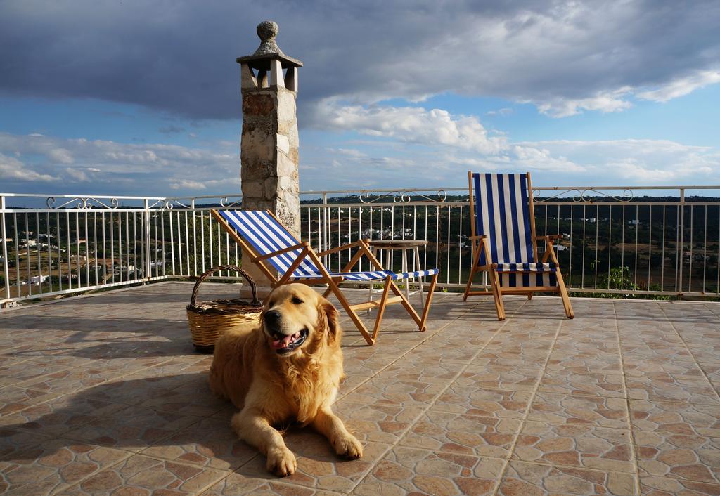 B&B In Fondo Alla Strada Фазано Екстериор снимка